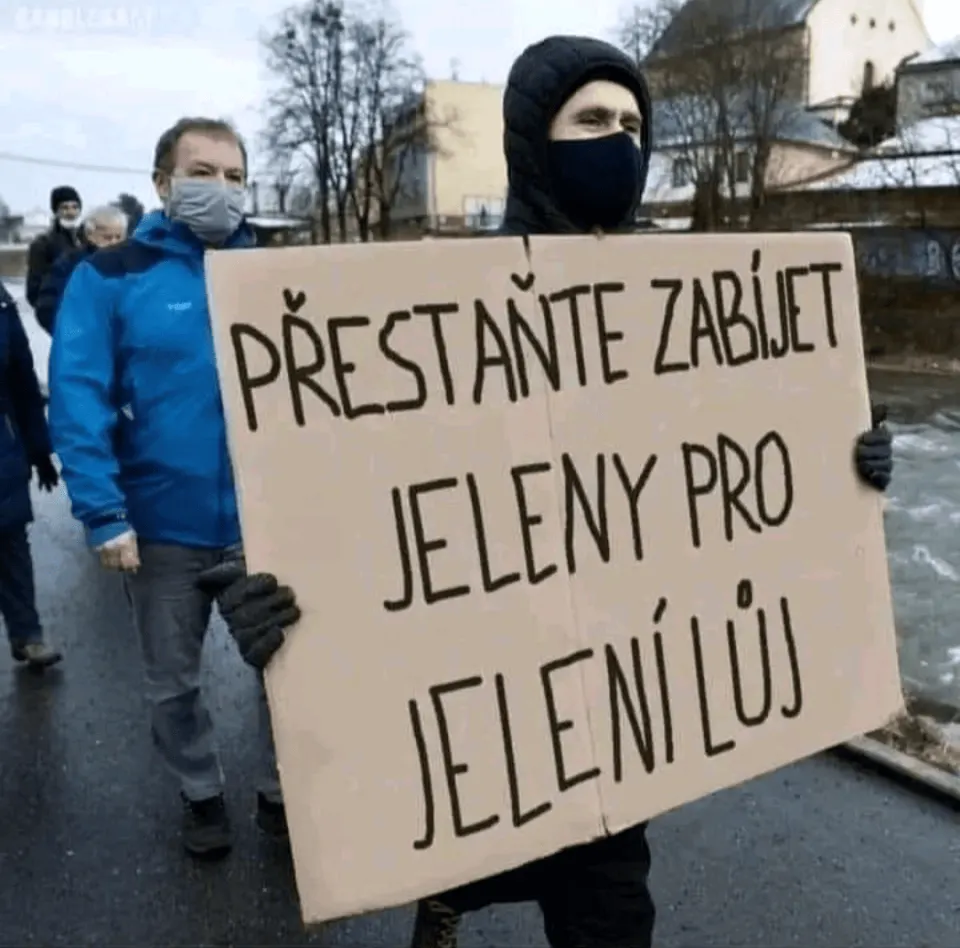 Obrázek na LastBro: 1000036152