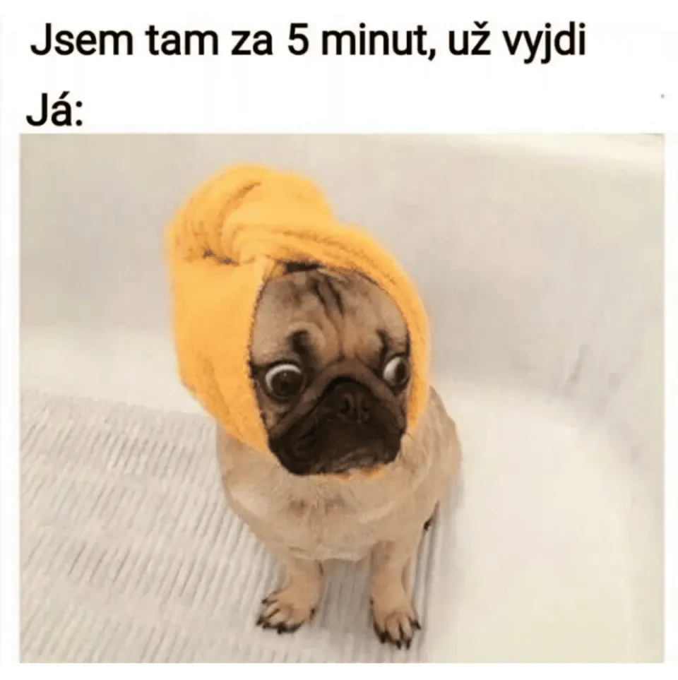 Obrázek na LastBro: 1000041537