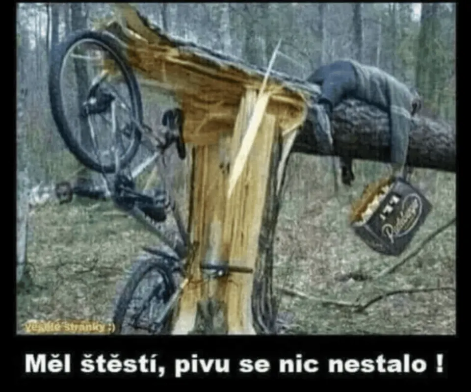 Obrázek na LastBro: 1000041661