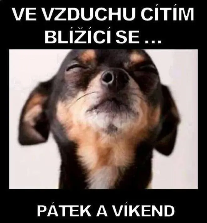 Obrázek na LastBro: 1000043306