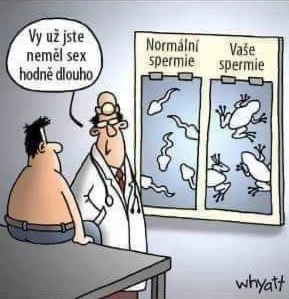 Obrázek na LastBro: 1000043749