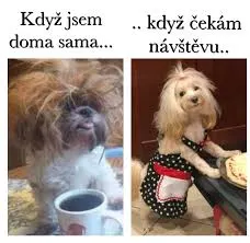 Obrázek na LastBro: 1000043758