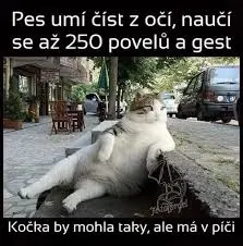 Obrázek na LastBro: 1000043764