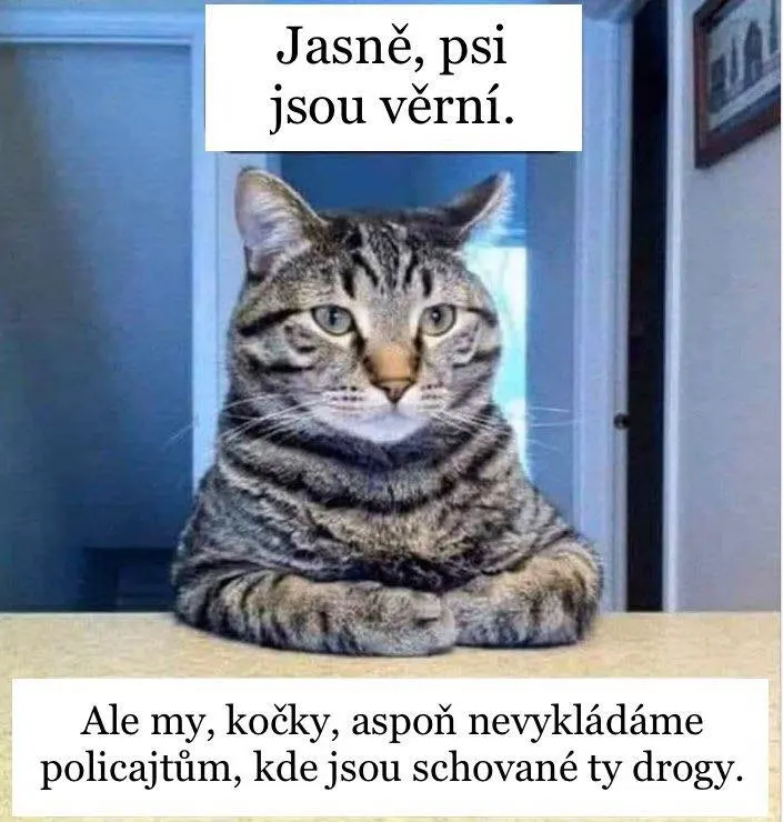 Obrázek na LastBro: 1000043765
