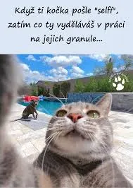 Obrázek na LastBro: 1000043766
