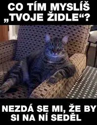Obrázek na LastBro: 1000043767