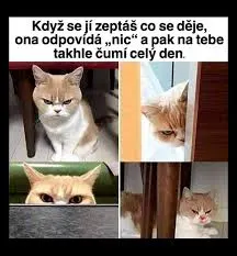 Obrázek na LastBro: 1000043769