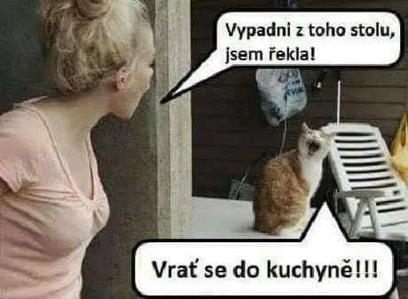Obrázek na LastBro: 1000043770