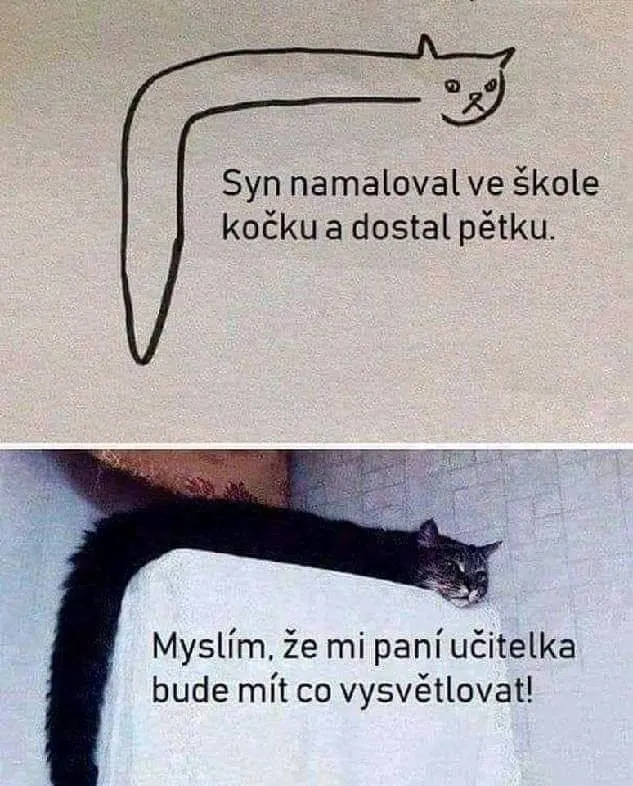 Obrázek na LastBro: 1000043771