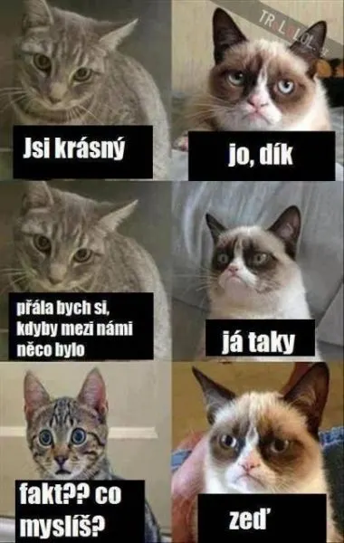 Obrázek na LastBro: 1000043772