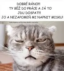 Obrázek na LastBro: 1000043773