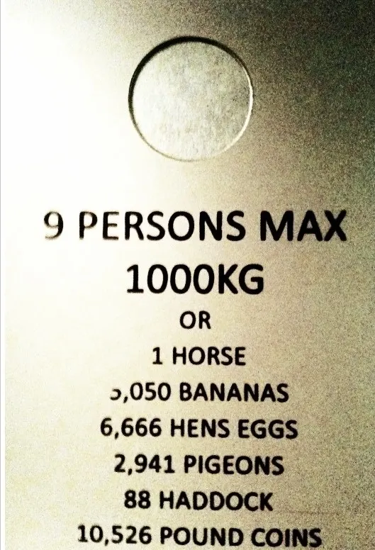 Obrázek na LastBro: 1000045065