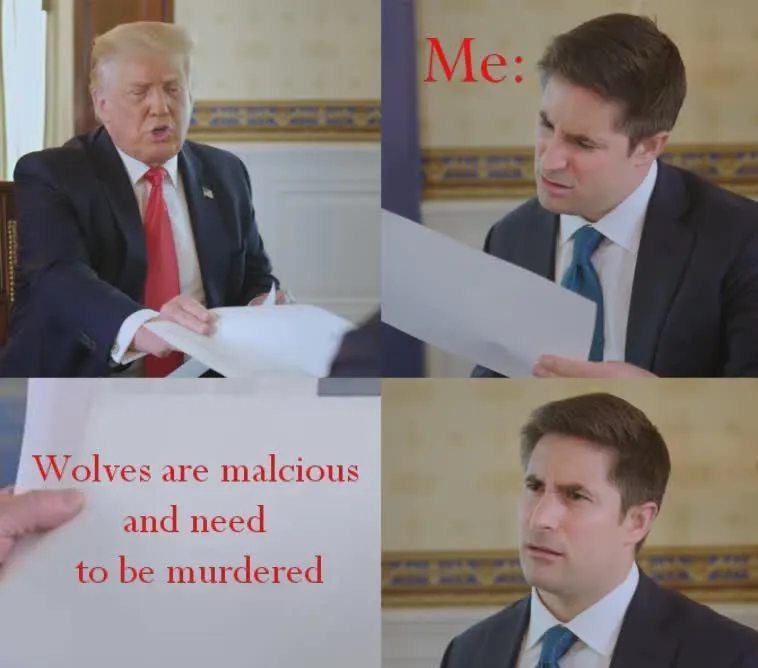 Obrázek na LastBro: 1000045186
