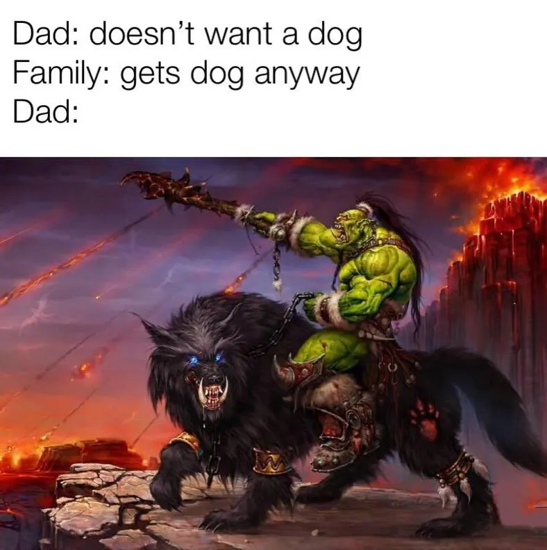 Obrázek na LastBro: 1000045323