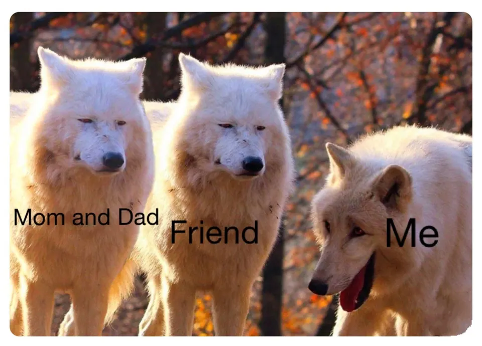 Obrázek na LastBro: 1000045389