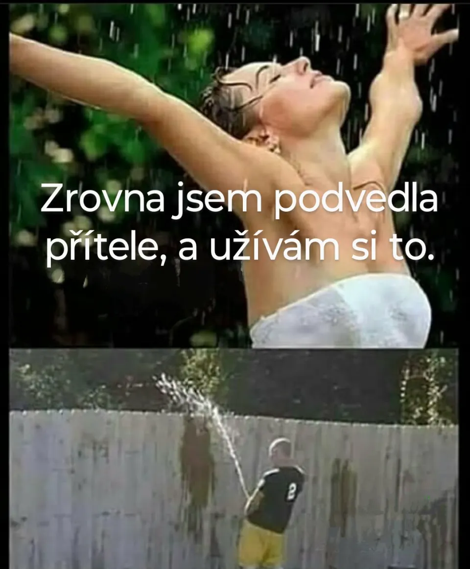 Obrázek na LastBro: 1000045695