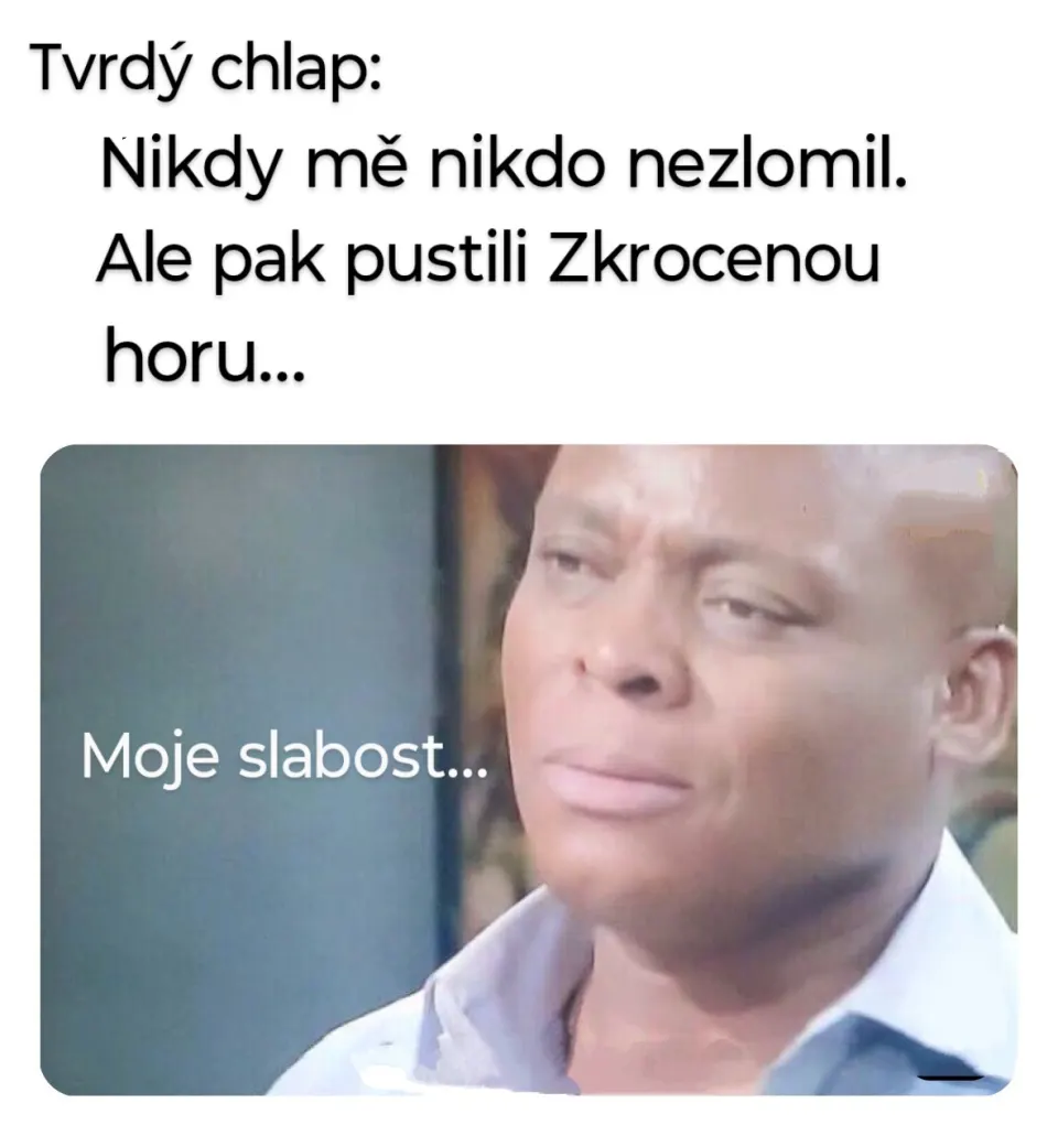 Obrázek na LastBro: 1000046011