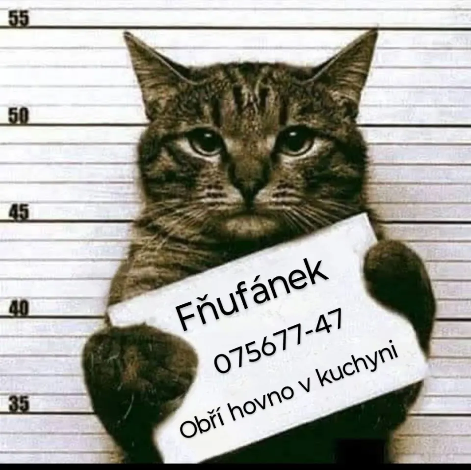 Obrázek na LastBro: 1000046103