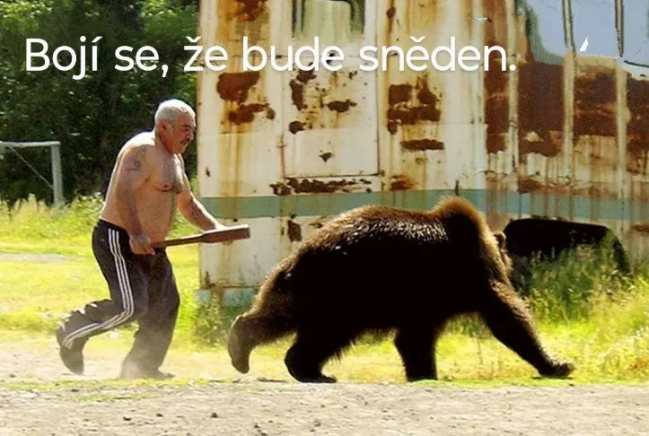 Obrázek na LastBro: 1000046160