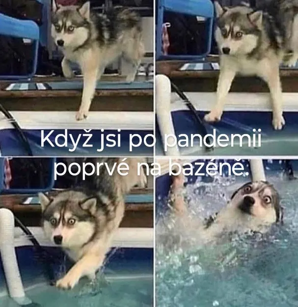 Obrázek na LastBro: 1000046197