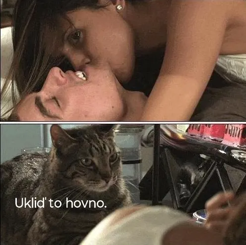 Obrázek na LastBro: 1000046201