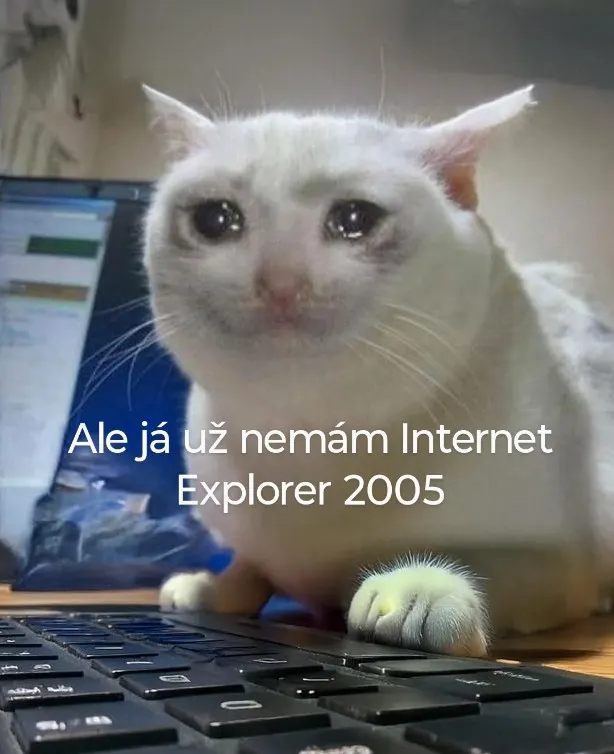 Obrázek na LastBro: 1000046570