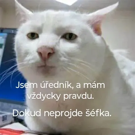 Obrázek na LastBro: 1000046749