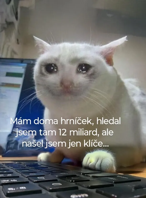 Obrázek na LastBro: 1000046951