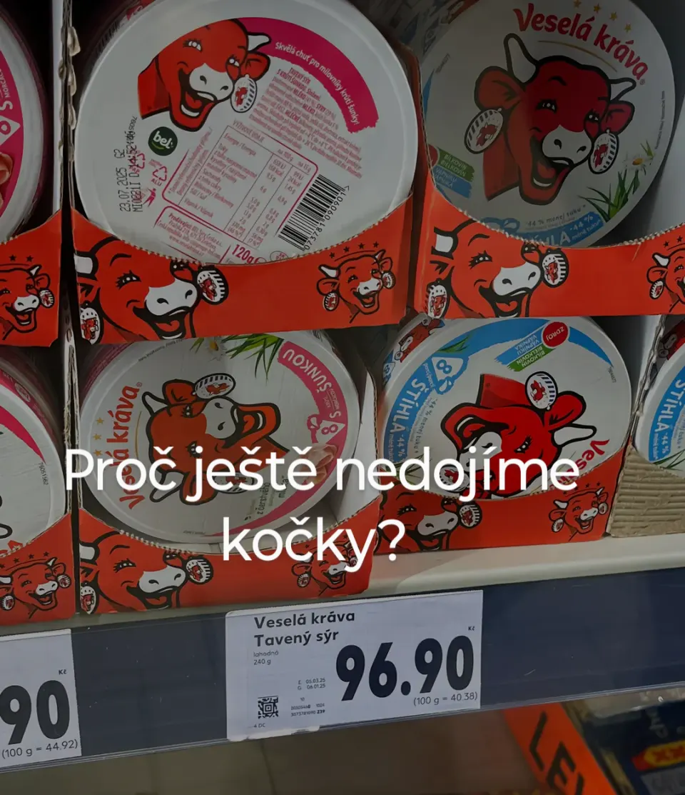 Obrázek na LastBro: 1000046953