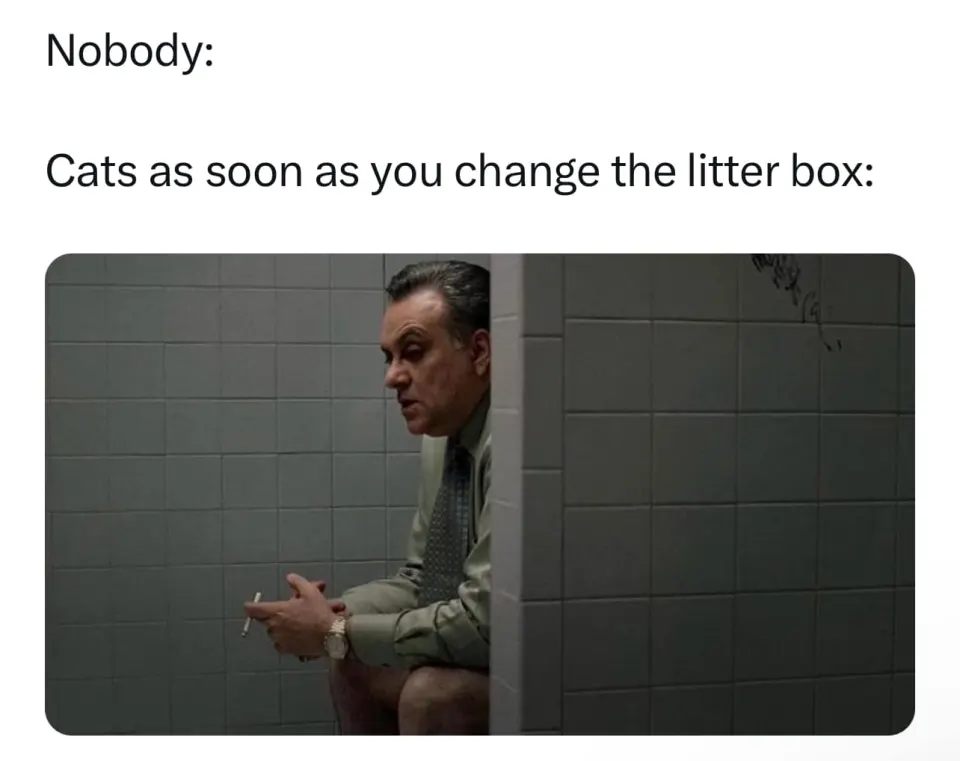 Obrázek na LastBro: 1747027023208