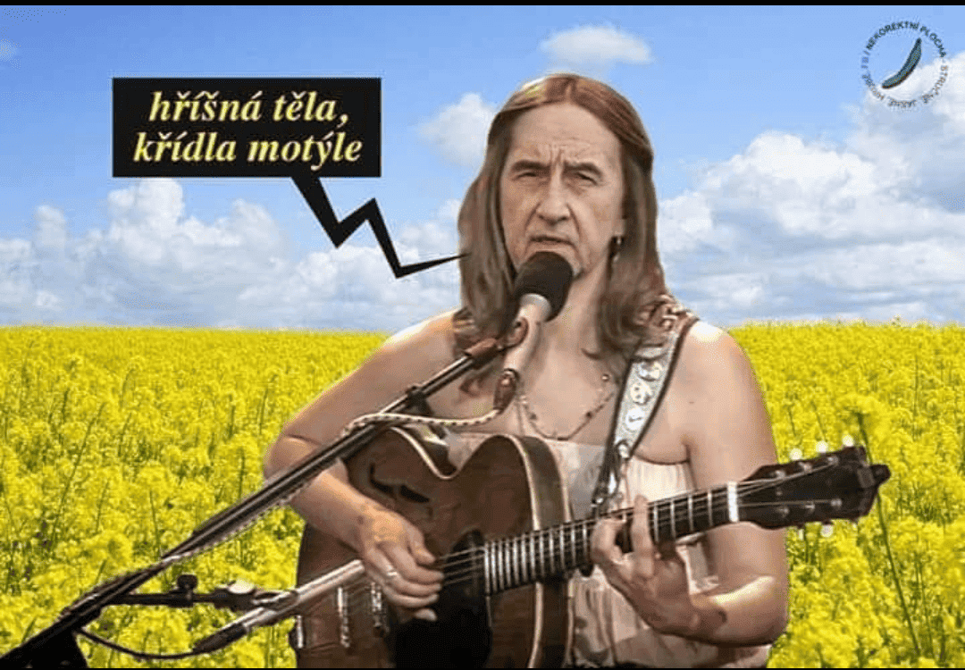 Obrázek na LastBro: 1000042074
